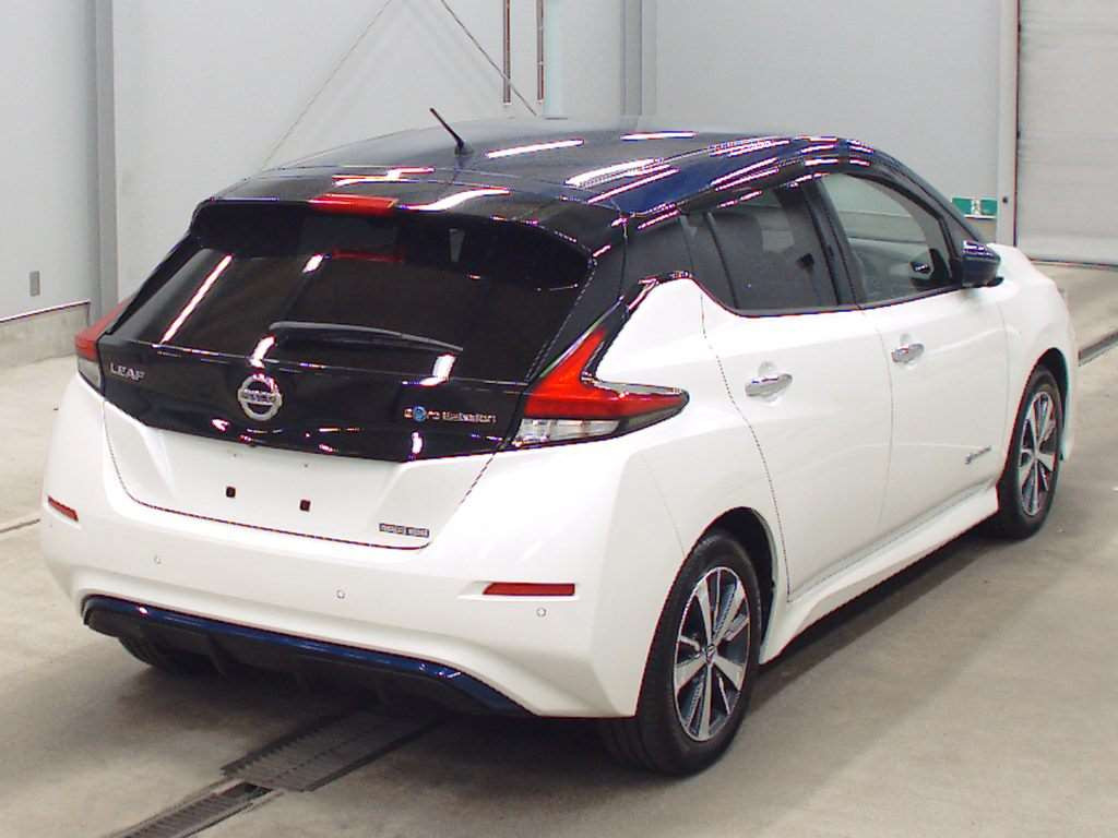 2019 Nissan Leaf ZE1[1]