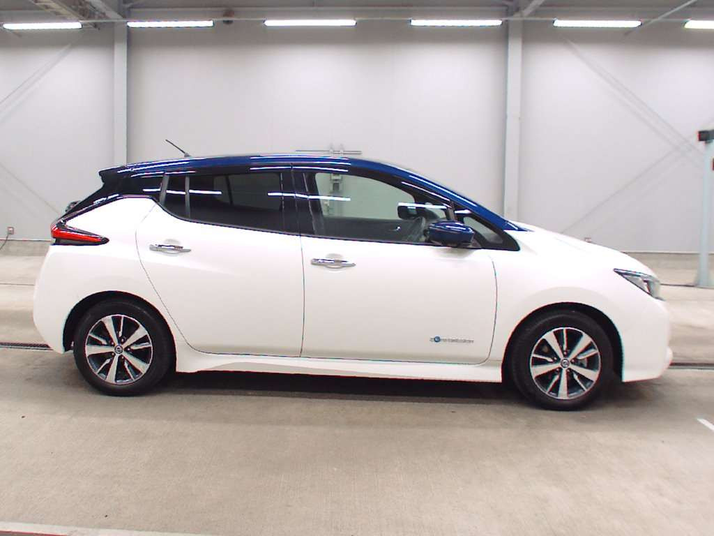 2019 Nissan Leaf ZE1[2]