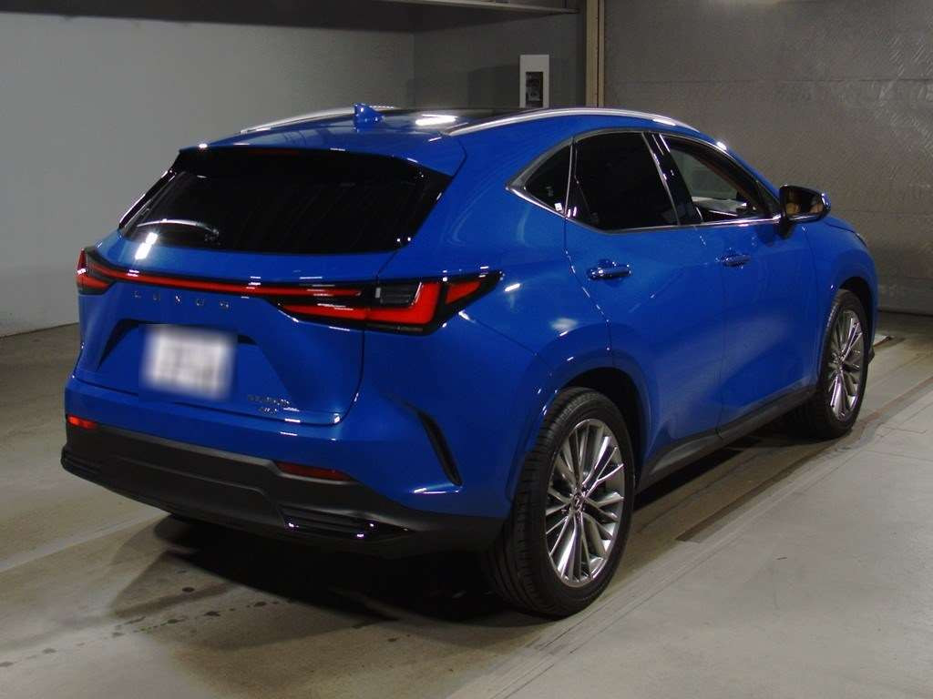 2023 Lexus NX AAZH25[1]