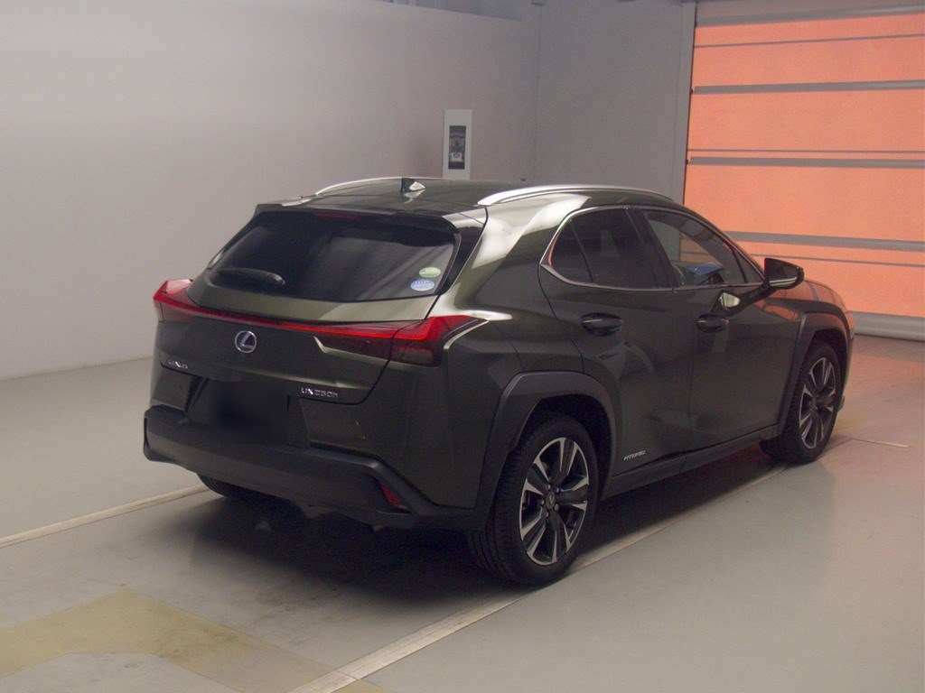 2019 Lexus UX MZAH10[1]