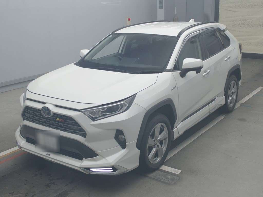 2019 Toyota RAV4 AXAH54[0]