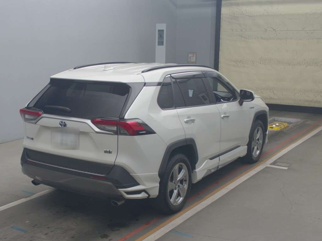 2019 Toyota RAV4 AXAH54[1]