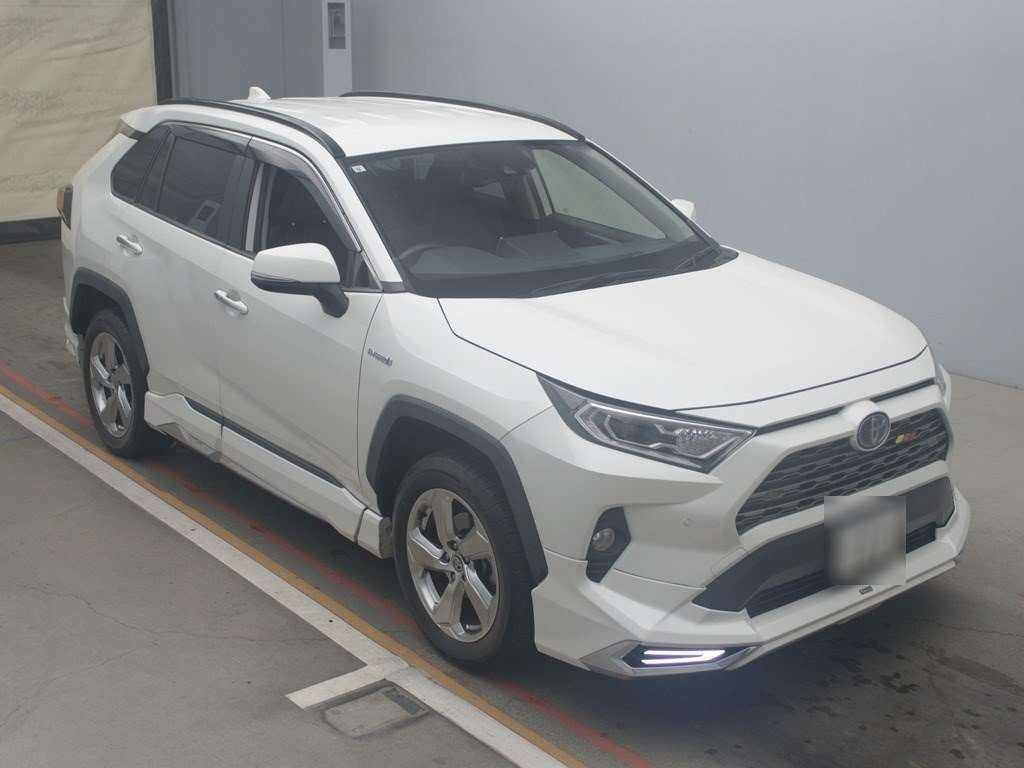 2019 Toyota RAV4 AXAH54[2]