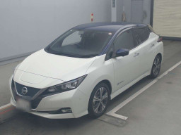 2018 Nissan Leaf