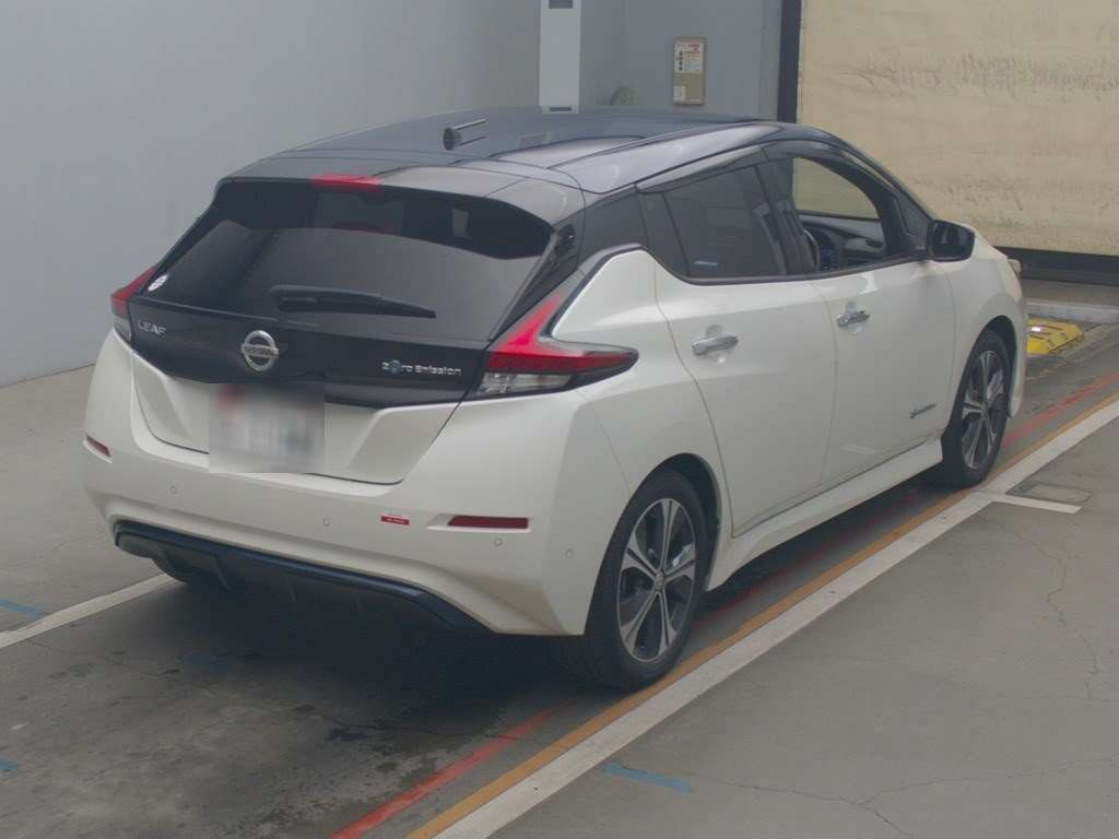 2018 Nissan Leaf ZE1[1]