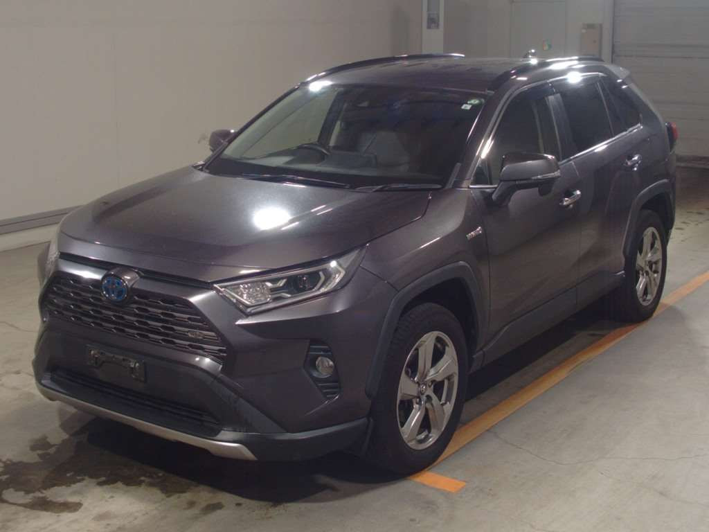 2019 Toyota RAV4 AXAH54[0]