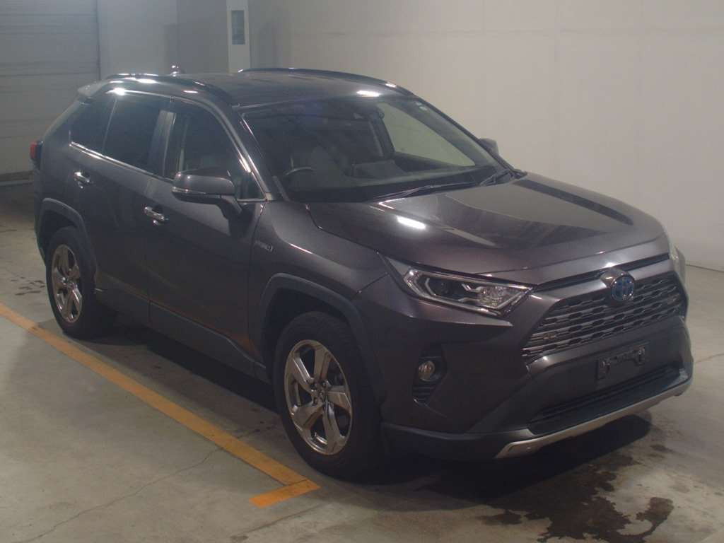 2019 Toyota RAV4 AXAH54[2]