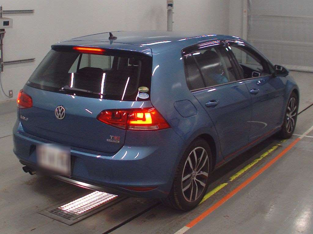 2013 Volkswagen Golf AUCPT[1]