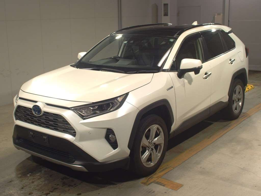 2020 Toyota RAV4 AXAH54[0]