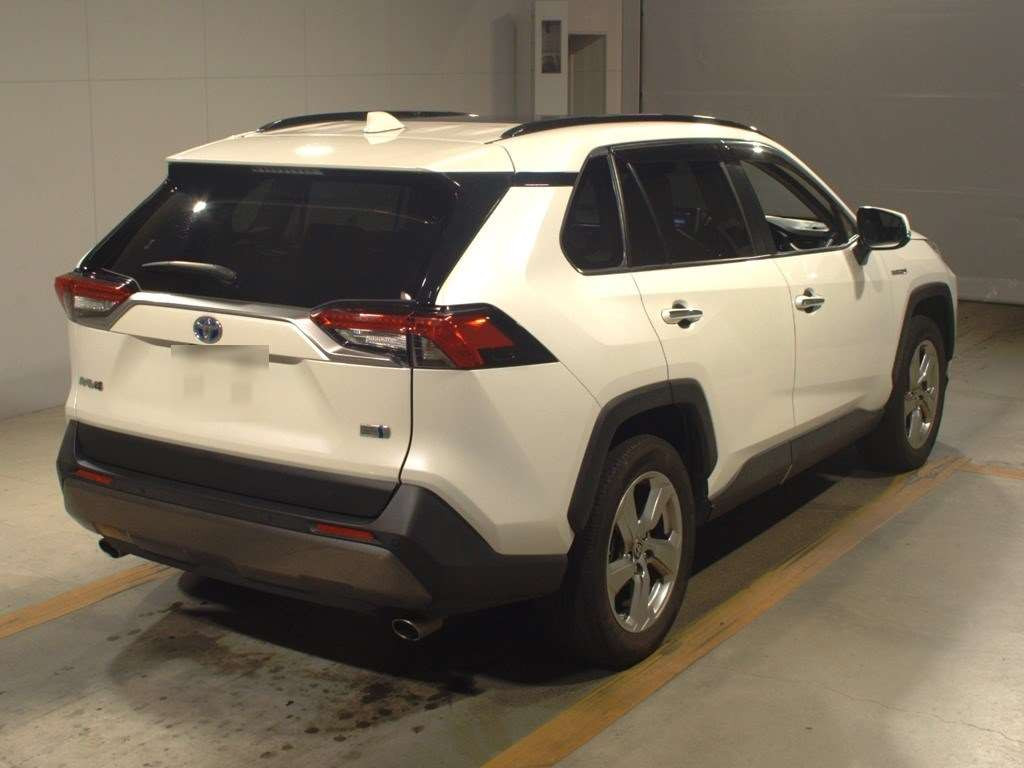 2020 Toyota RAV4 AXAH54[1]