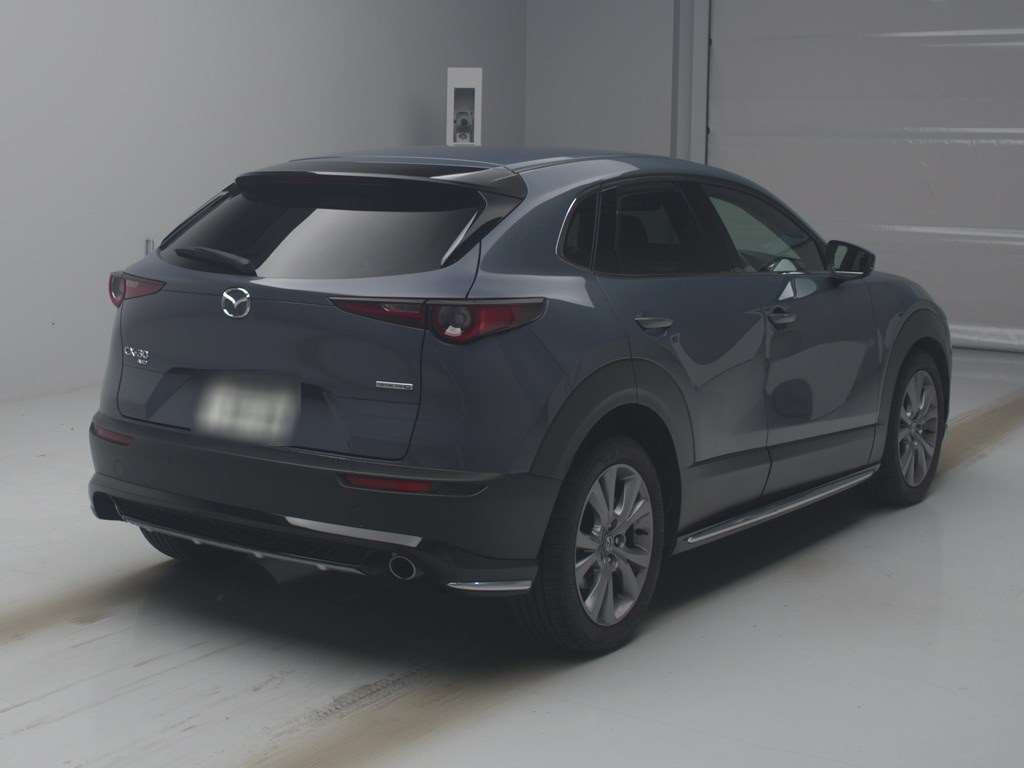 2022 Mazda CX-30 DMEP[1]