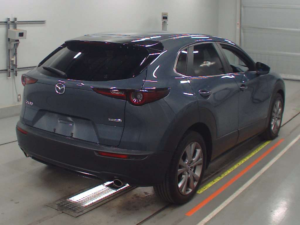 2020 Mazda CX-30 DMEP[1]