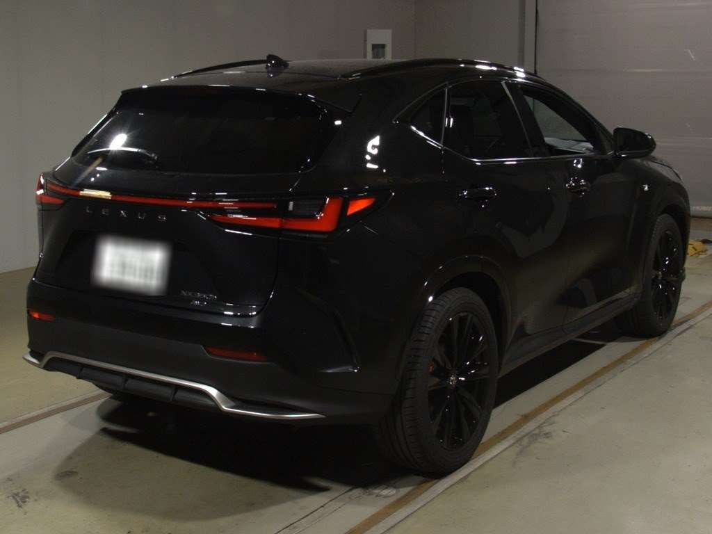 2023 Lexus NX AAZH25[1]