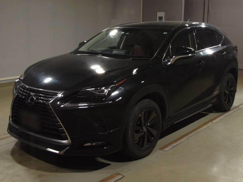 2018 Lexus NX AYZ10[0]