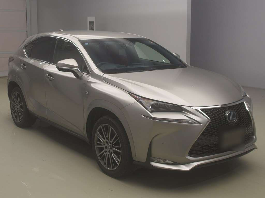 2014 Lexus NX AYZ15[2]