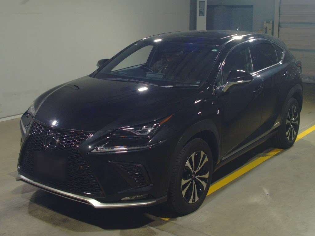 2019 Lexus NX AYZ15[0]