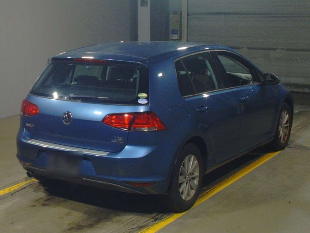 2013 Volkswagen Golf AUCJZ[1]