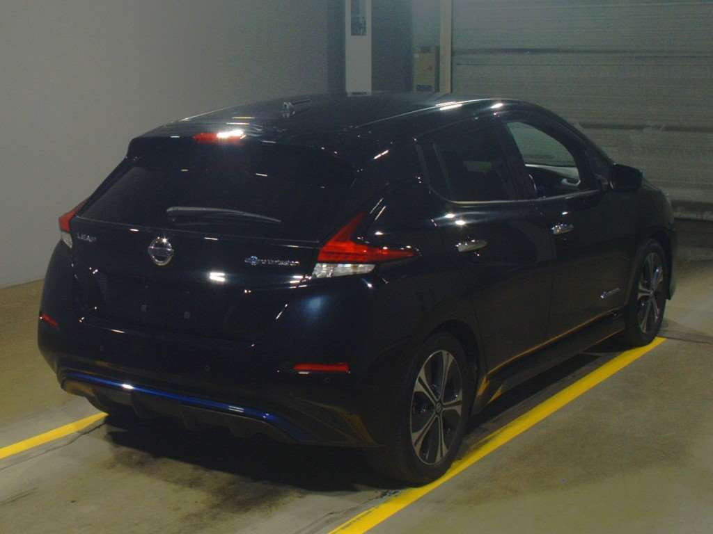 2019 Nissan Leaf ZE1[1]