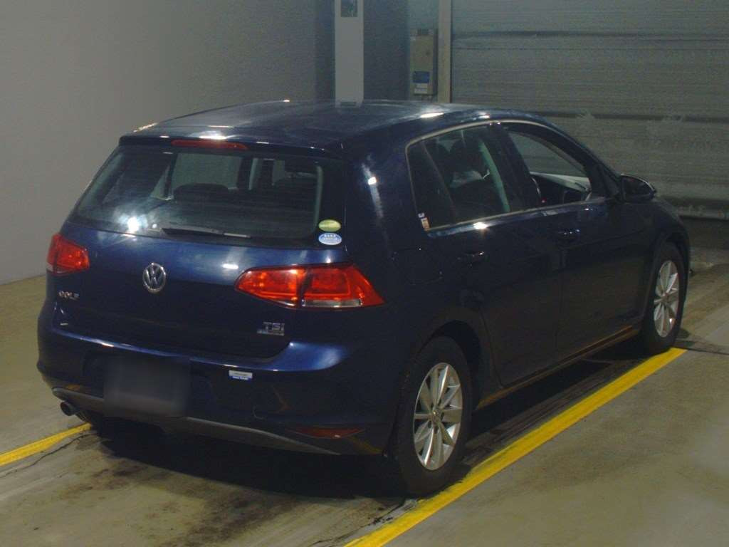 2013 Volkswagen Golf AUCJZ[1]