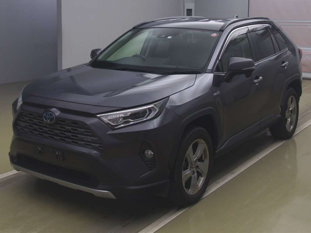 2019 Toyota RAV4 AXAH54[0]