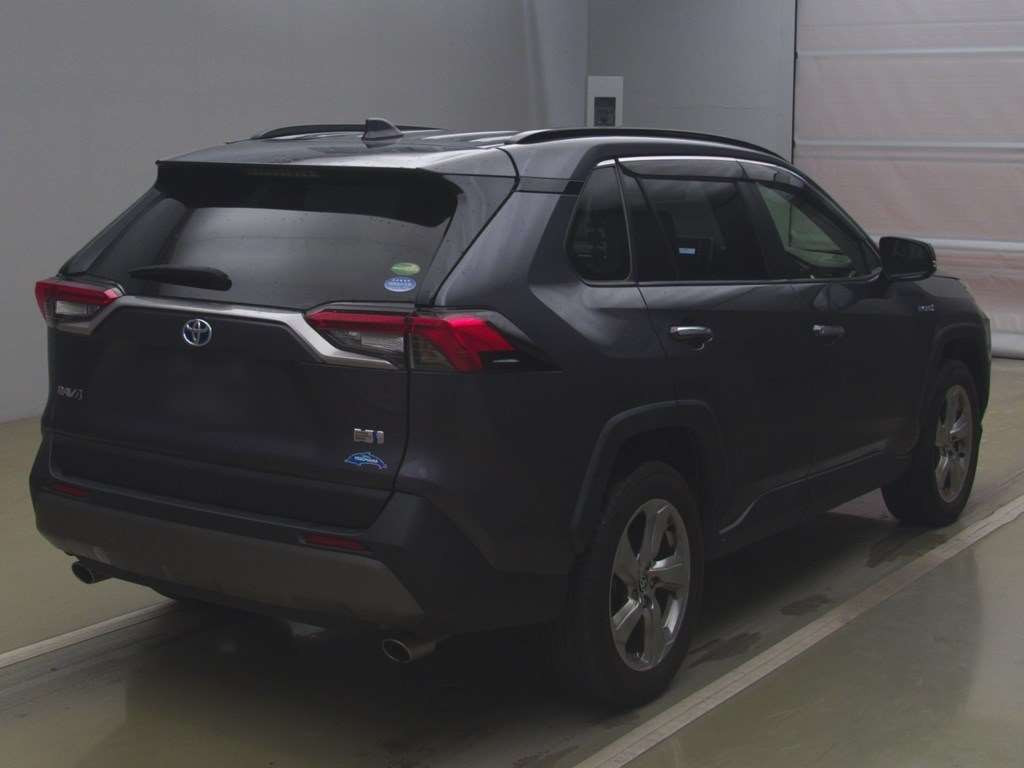 2019 Toyota RAV4 AXAH54[1]