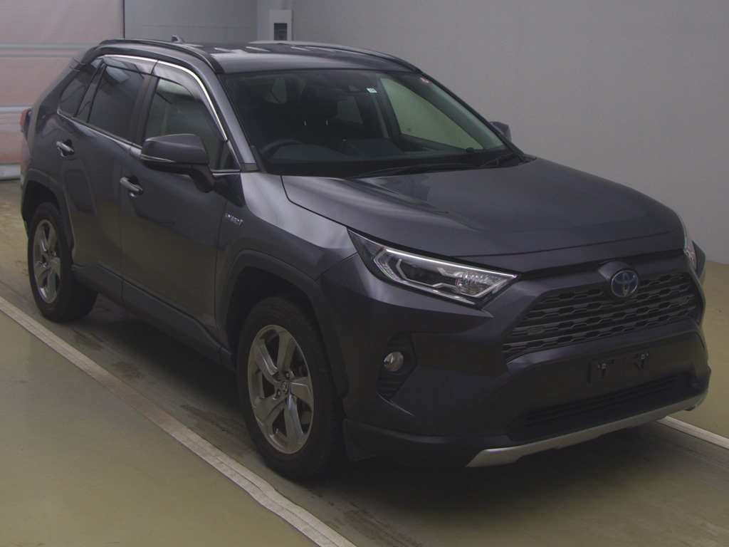 2019 Toyota RAV4 AXAH54[2]