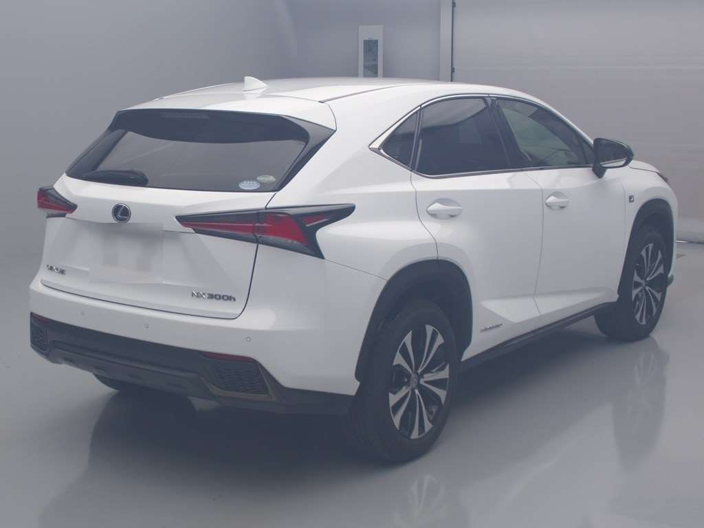 2017 Lexus NX AYZ15[1]