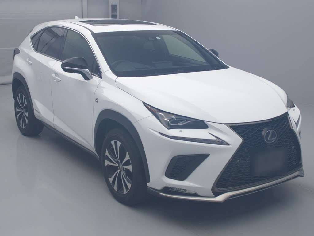 2017 Lexus NX AYZ15[2]