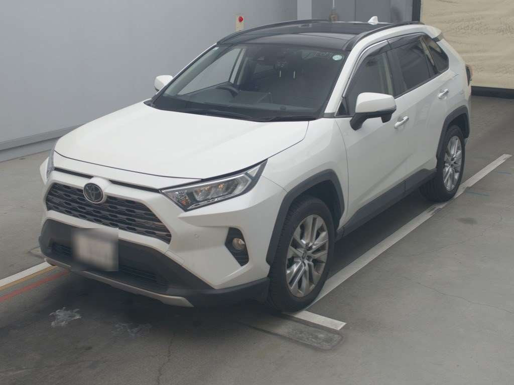 2019 Toyota RAV4 MXAA54[0]