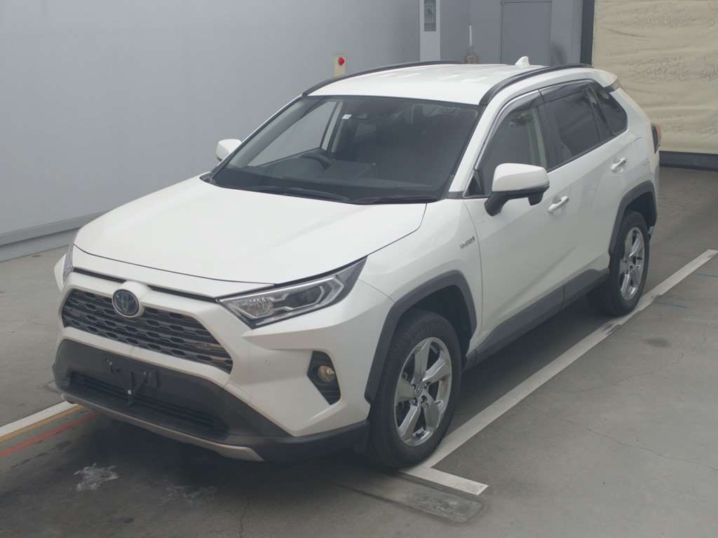 2019 Toyota RAV4 AXAH54[0]