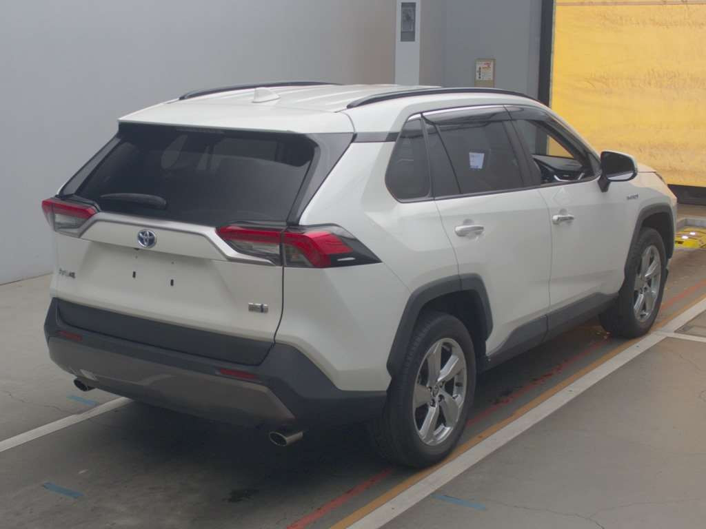 2019 Toyota RAV4 AXAH54[1]