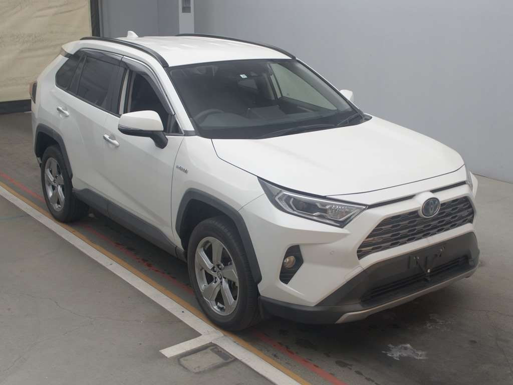 2019 Toyota RAV4 AXAH54[2]