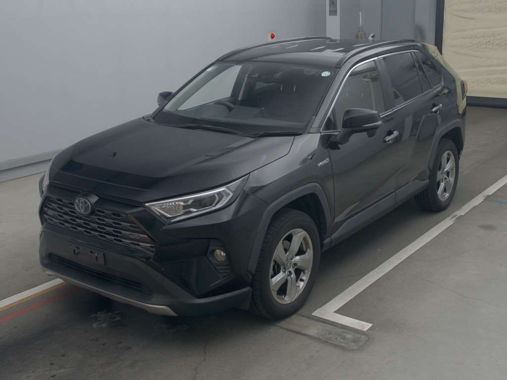 2019 Toyota RAV4 AXAH54[0]