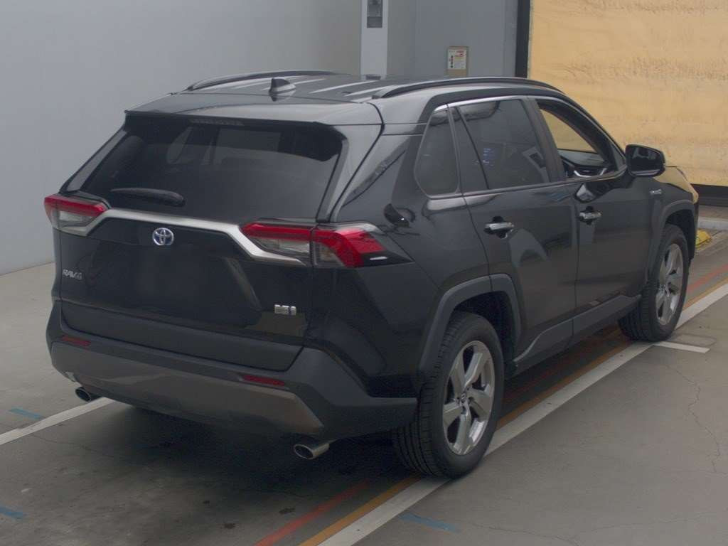 2019 Toyota RAV4 AXAH54[1]