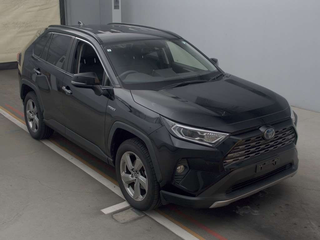 2019 Toyota RAV4 AXAH54[2]