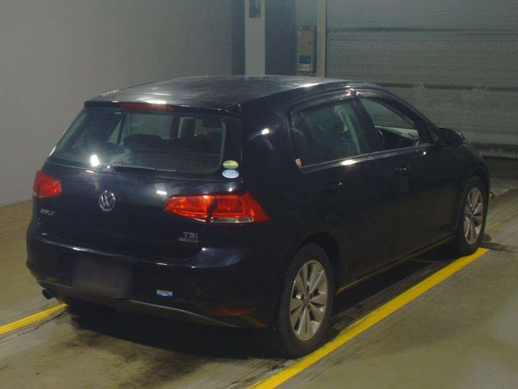 2013 Volkswagen Golf AUCJZ[1]