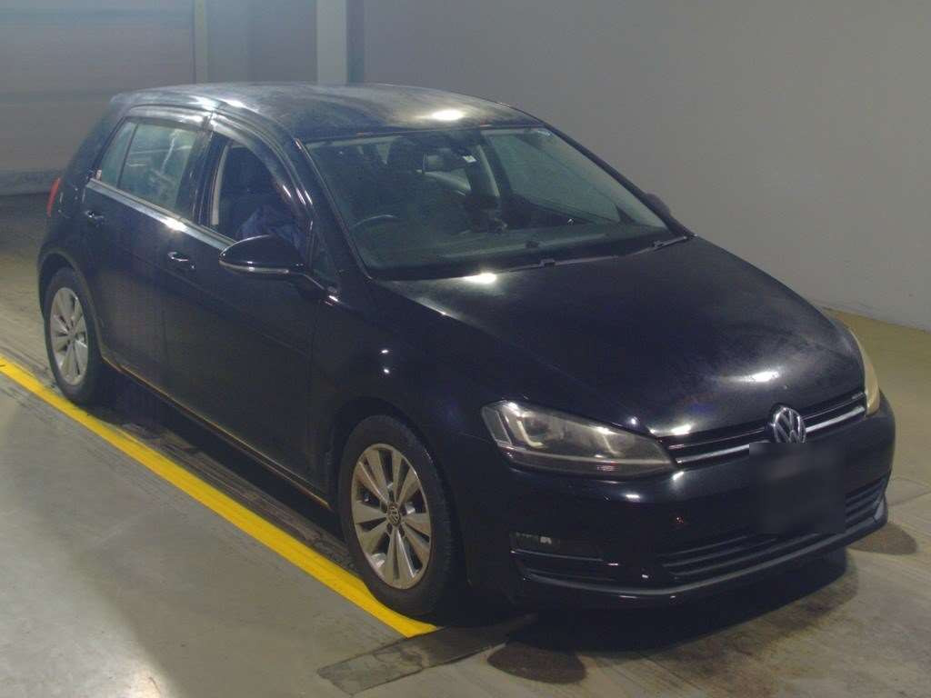 2013 Volkswagen Golf AUCJZ[2]