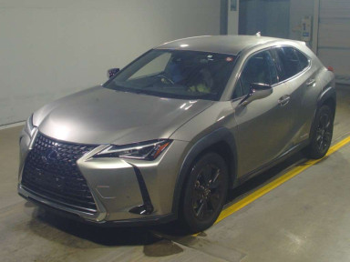 2021 Lexus UX