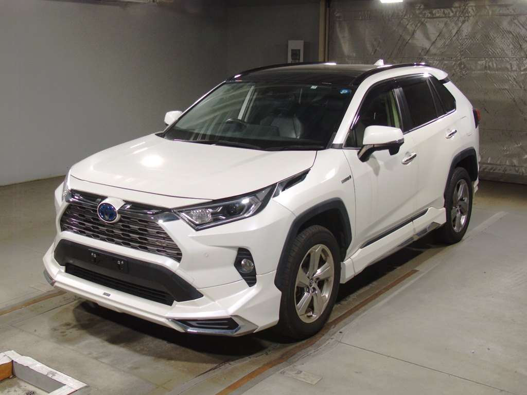 2019 Toyota RAV4 AXAH54[0]