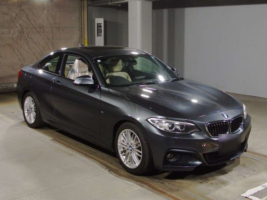 2015 BMW 2 Series 1J20[2]