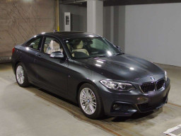 2015 BMW 2 Series