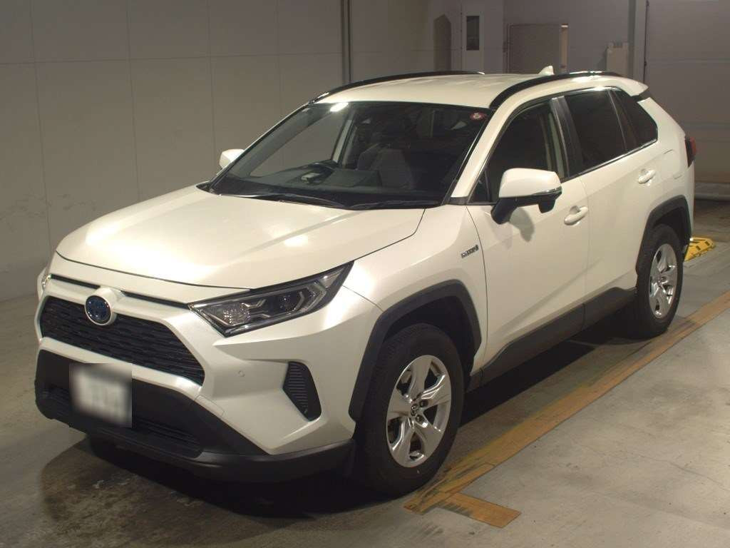 2019 Toyota RAV4 AXAH52[0]