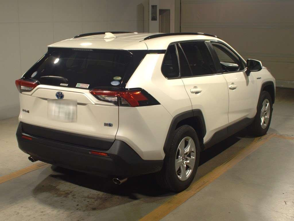 2019 Toyota RAV4 AXAH52[1]