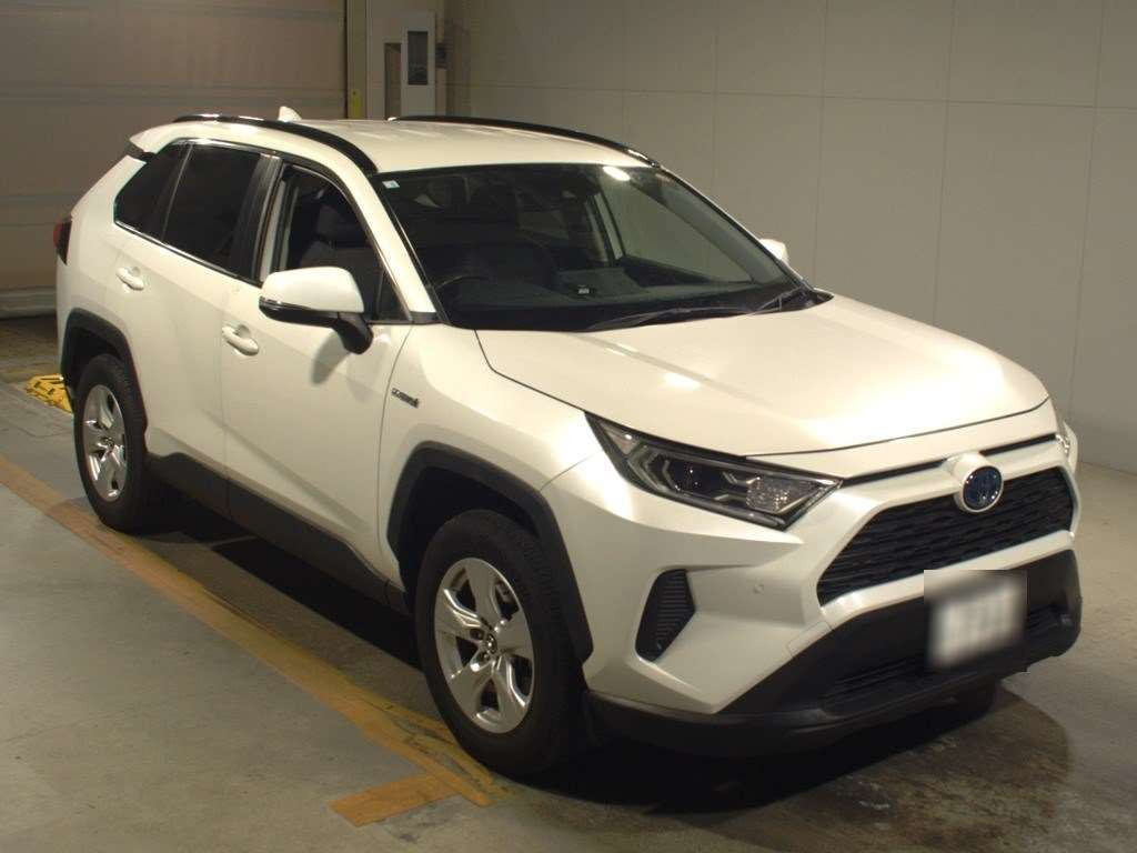 2019 Toyota RAV4 AXAH52[2]