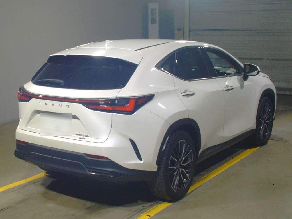 2022 Lexus NX AAZH25[1]