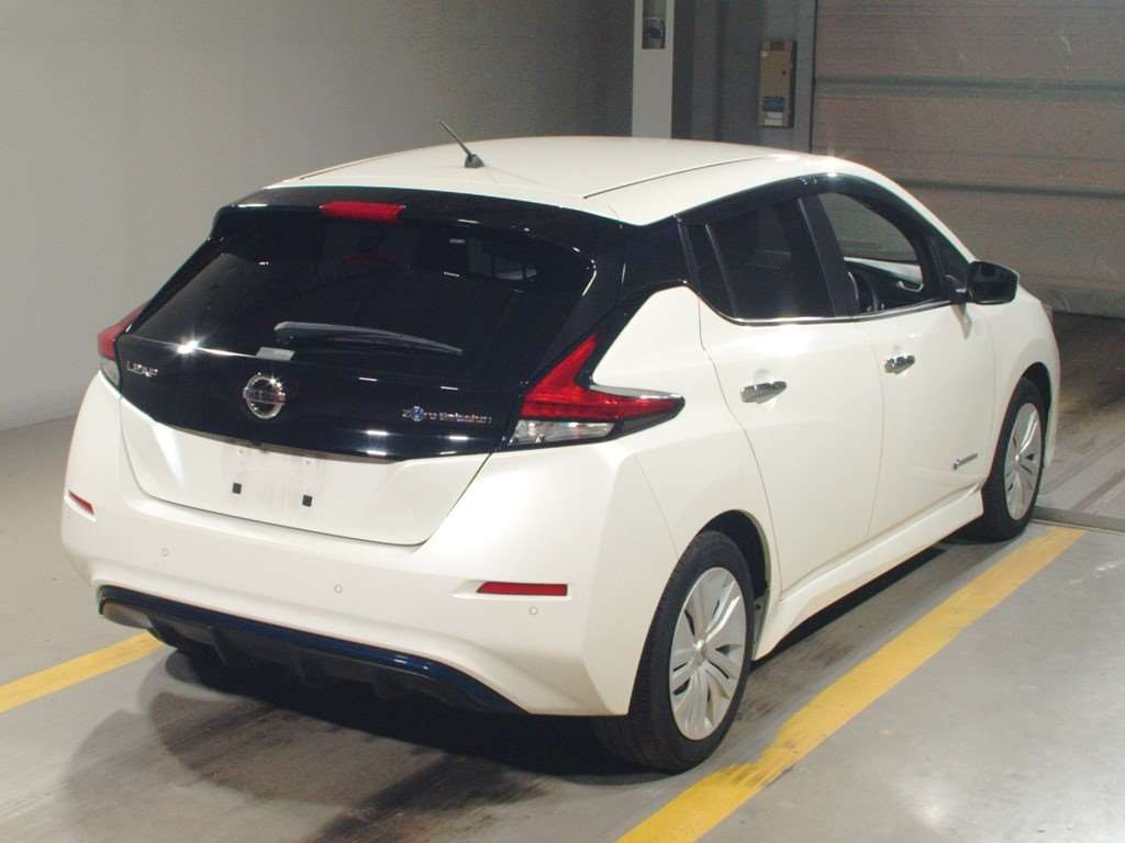 2019 Nissan Leaf ZE1[1]