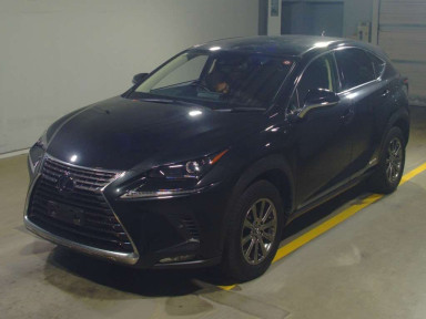 2020 Lexus NX