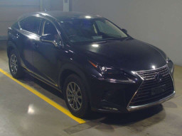 2020 Lexus NX