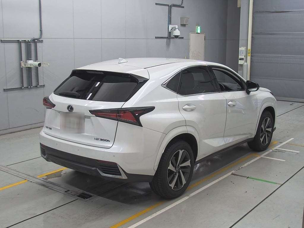 2020 Lexus NX AYZ10[1]