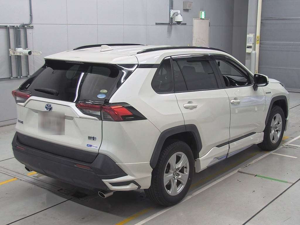 2019 Toyota RAV4 AXAH52[1]